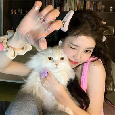 神经刀与飞天猫